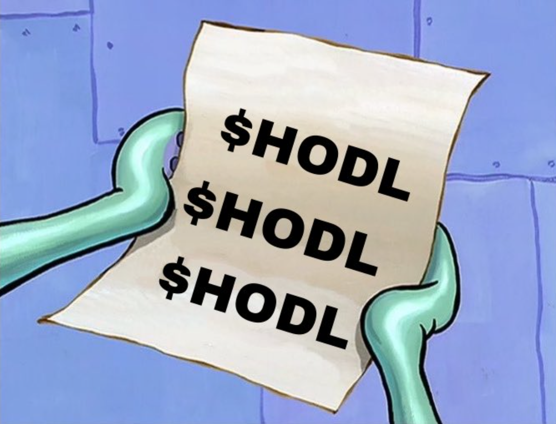 HODL Meme
