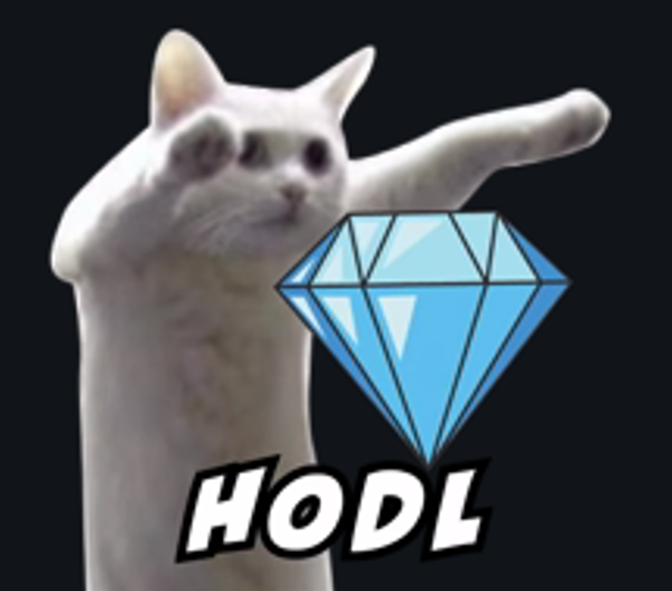 HODL Meme