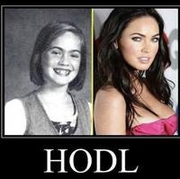 HODL Meme
