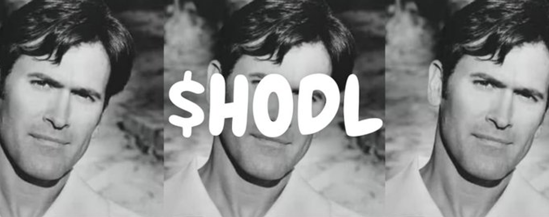 HODL Meme