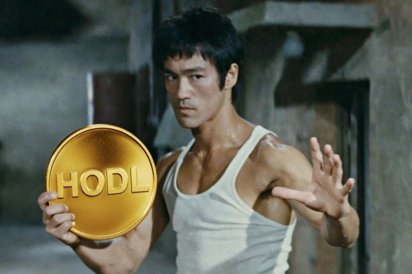 HODL Meme